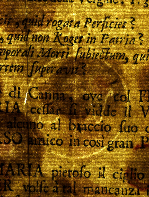 image of ID. 156 BV cerchiato, trifoglio