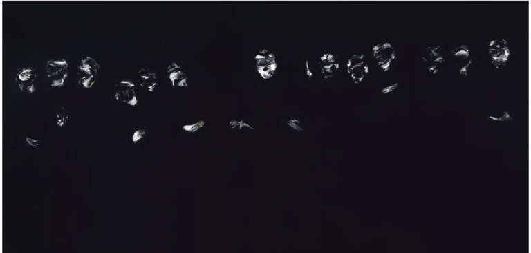 copertina di Lorenzo Puglisi: La forma nell’oscurità