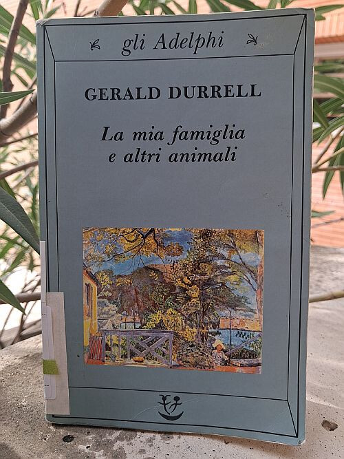 copertina di Il Borgo dei libri