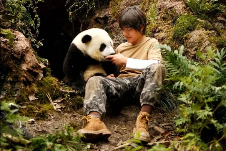 immagine di Moon – Il panda