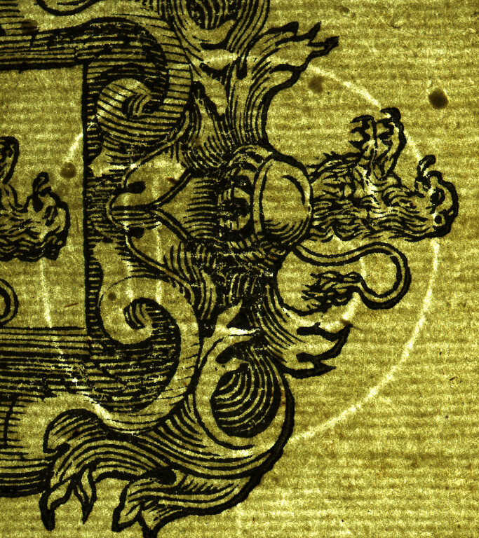 image of ID. 77 IS cerchiato