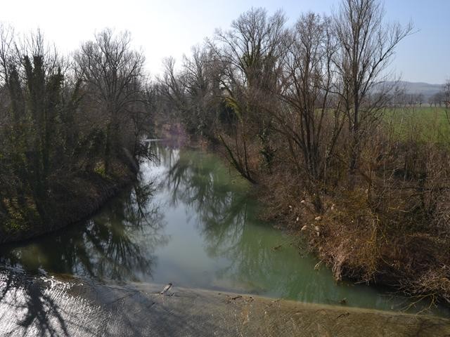Il fiume Idice dal ponte della via Emilia a Idice (BO)