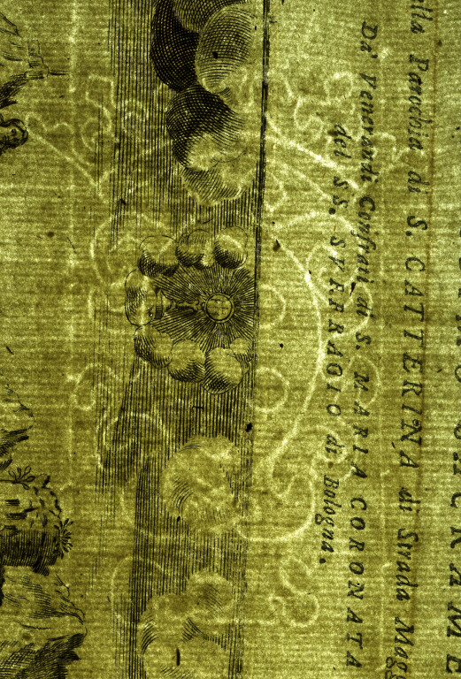image of ID. 85 stemma Medici, GBS