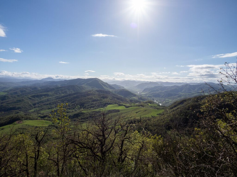 image de OAinNature 2026