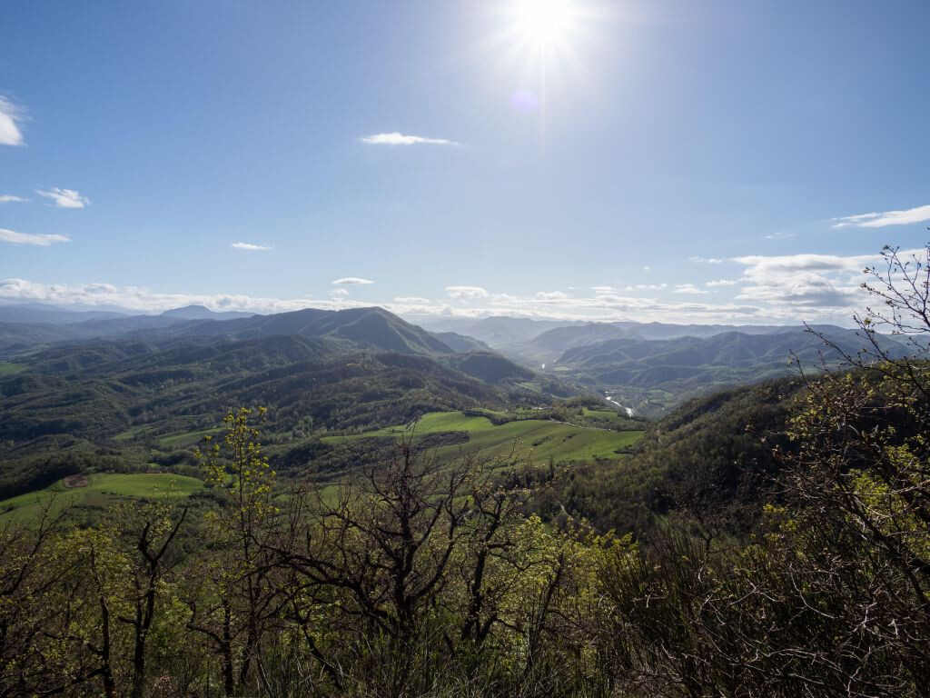 copertina di OAinNature 2026