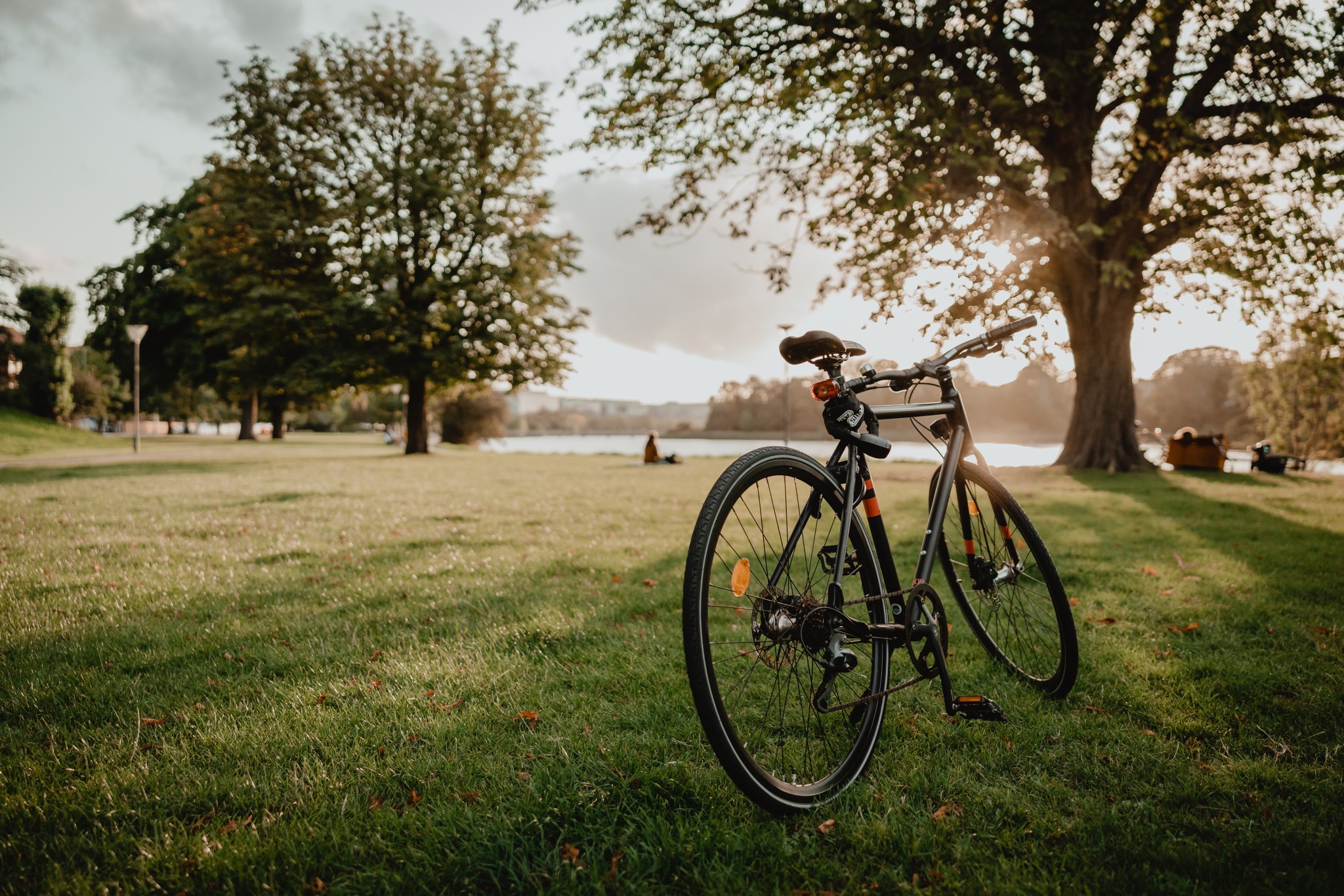 Biciclette