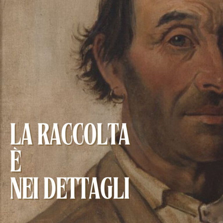 copertina di La Raccolta è nei dettagli!