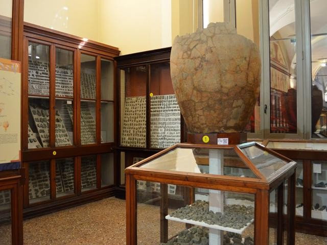  Museo Civico Archeologico (BO) 