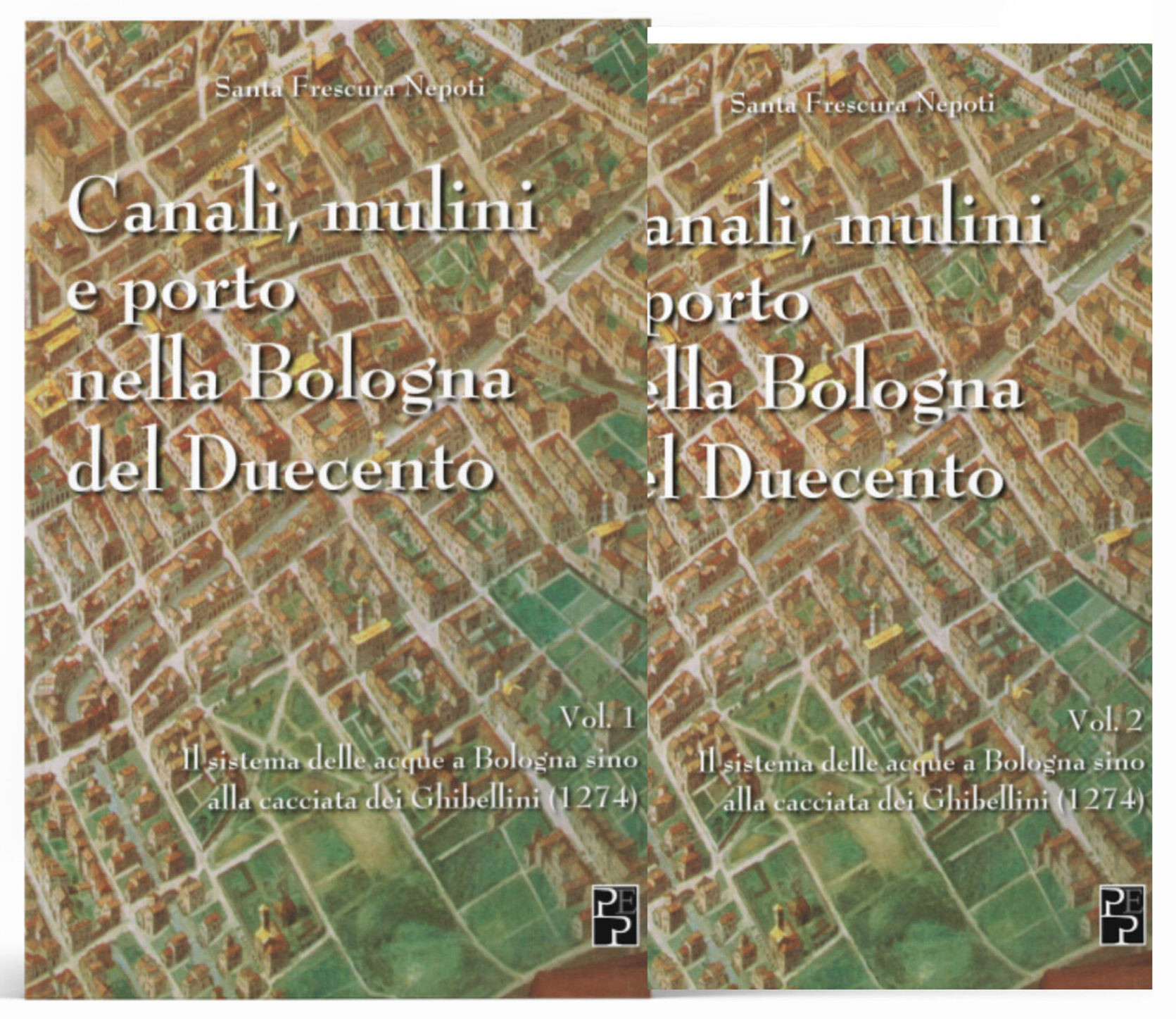 cover of Il sistema delle acque a Bologna nel Duecento