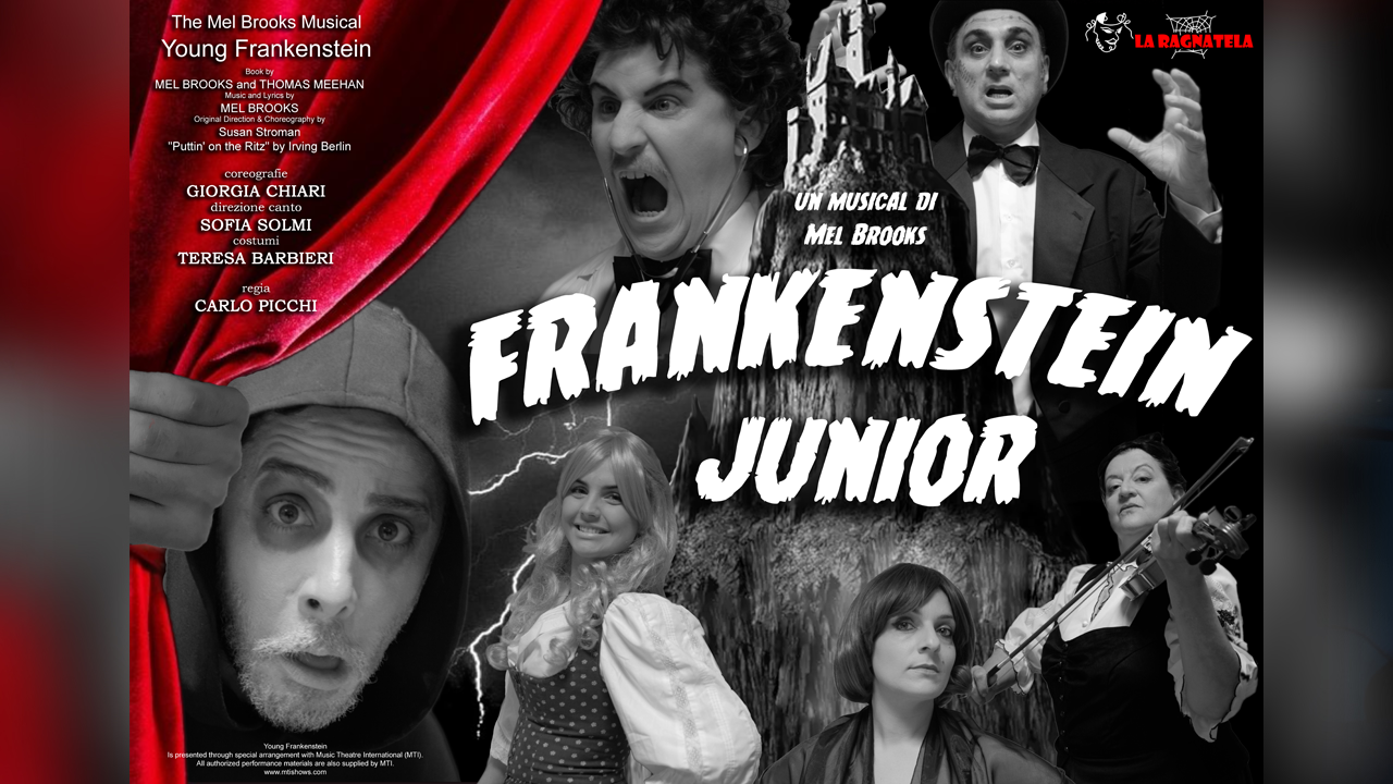 copertina di Frankenstein Junior