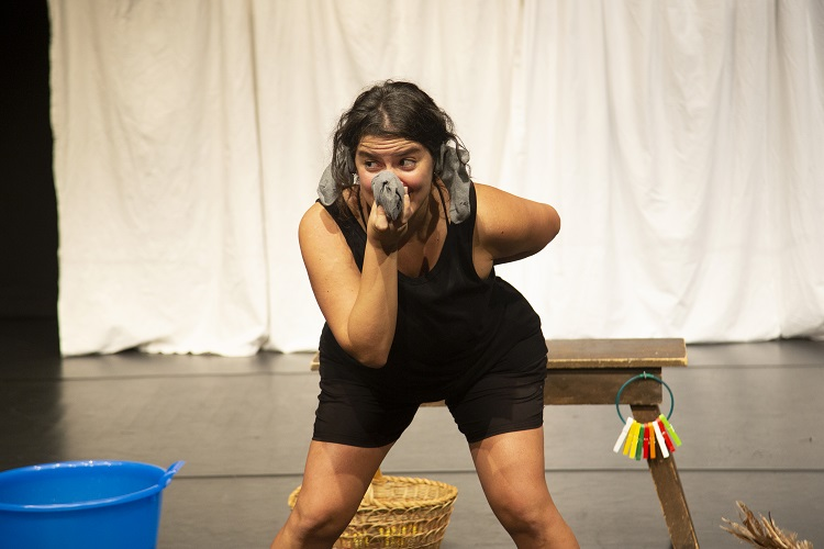 copertina di L’elefantino