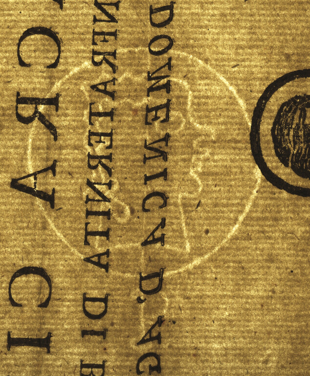 image of ID. 170 testa di profilo cerchiata, P