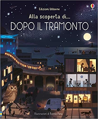 cover of Dopo il tramonto