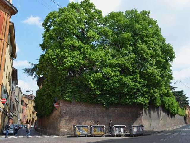 Collegio di Spagna - via Urbana