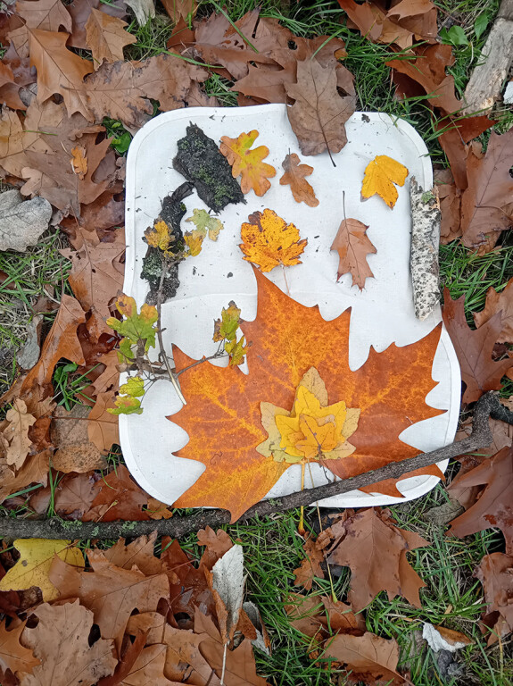 image of Una casa per l'inverno