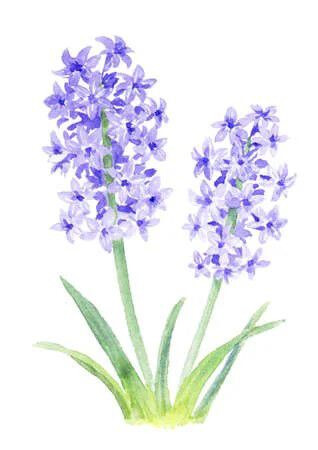 immagine di Novità Adulti Marzo 2026