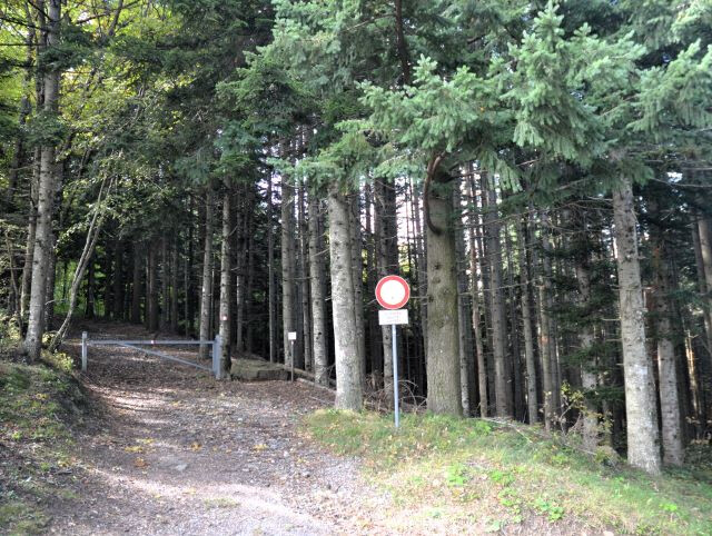 Il "bosco sacro"