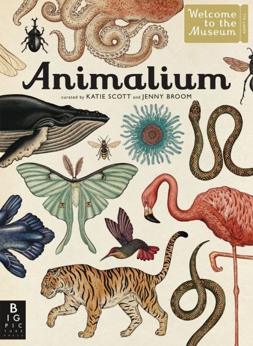 copertina di Animalium. Il grande museo degli animali
Katie Scott, Jenny Broom, ElectaKids, 2014
dagli 8/9 anni