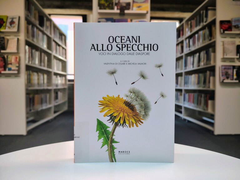 copertina di OCEANI ALLO SPECCHIO