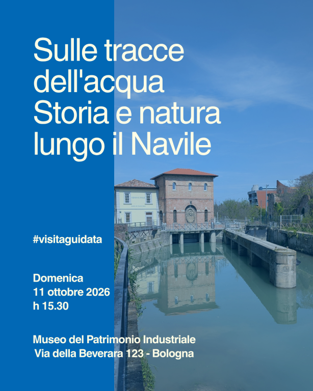 copertina di Sulle tracce dell’acqua: Storia e natura lungo il Navile