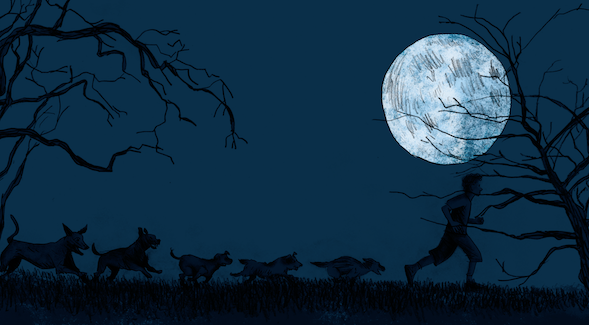 La storia quasi vera di Stefano Benni - Le avventure del lupo 