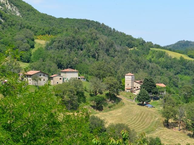 immagine di Montagna bolognese nel medioevo