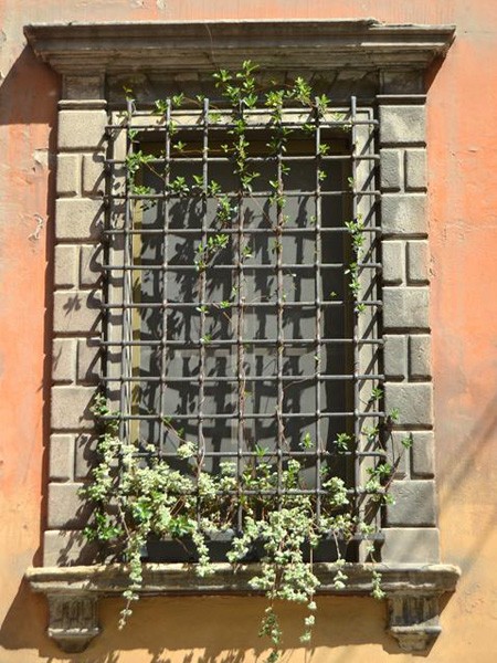 Palazzo Caprara - piazza Galileo - facciata - particolare