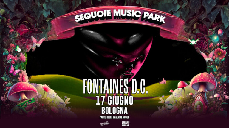 copertina di Fontaines D.C.