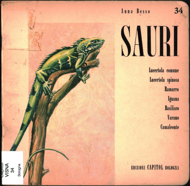 Anna Besso, Sauri (Capitol, 1968)