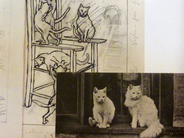 A. Baruffi - Disegni di gatti - Mostra "Sotto il segno di Alfonso Rubbiani" - Biblioteca di San Giorgio in Poggiale (BO) - 2103-14