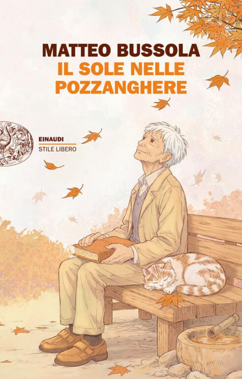 copertina di IL SOLE NELLE POZZANGHERE