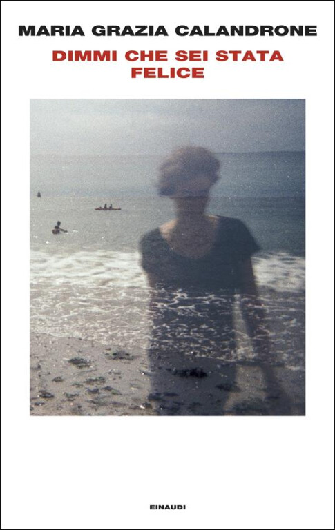 copertina di Dimmi che sei stata felice