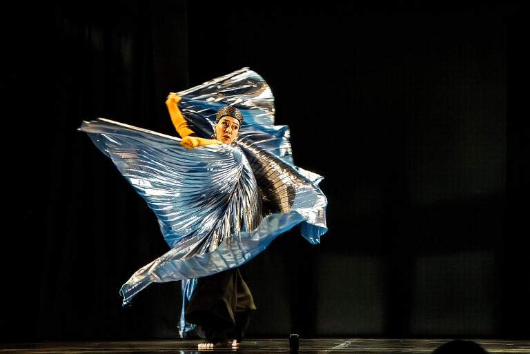 cover of The stape of sound