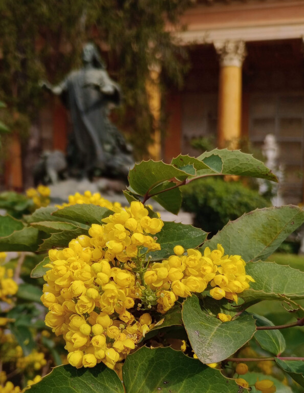 copertina di Il giardino mitologico