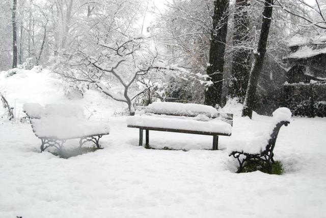 inverno orto botanico.jpg