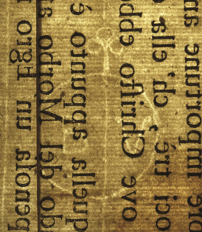 image of ID. 168 BV cerchiato, trifoglio