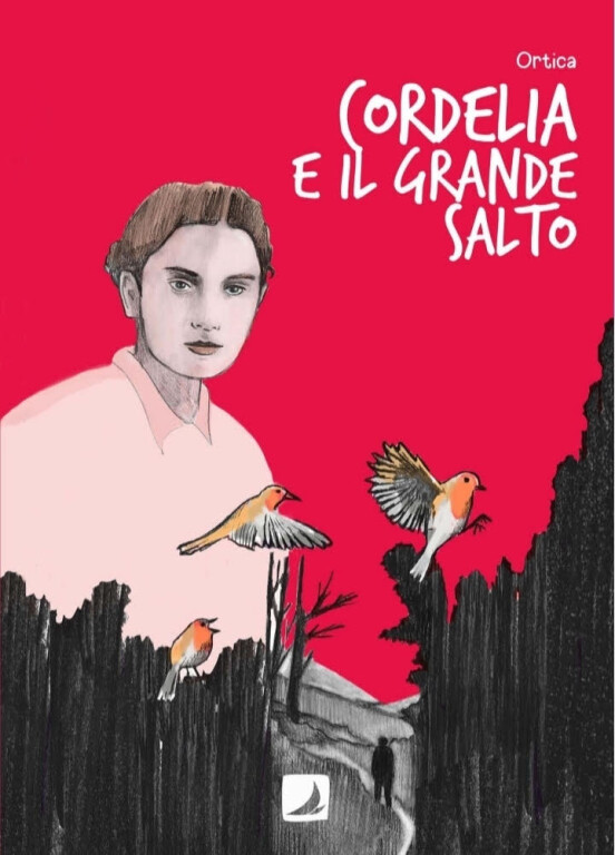 immagine di Disognando 2026