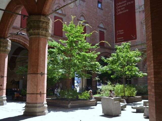 Alberi nella corte d'onore