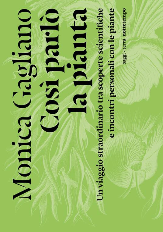 copertina di Così parlò la pianta: un viaggio straordinario tra scoperte scientifiche e incontri personali con le piante 