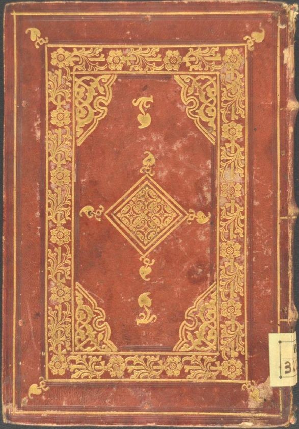 copertina di Visita guidata alla mostra A fior di pelle. Legature italiane del XV-XVI secolo