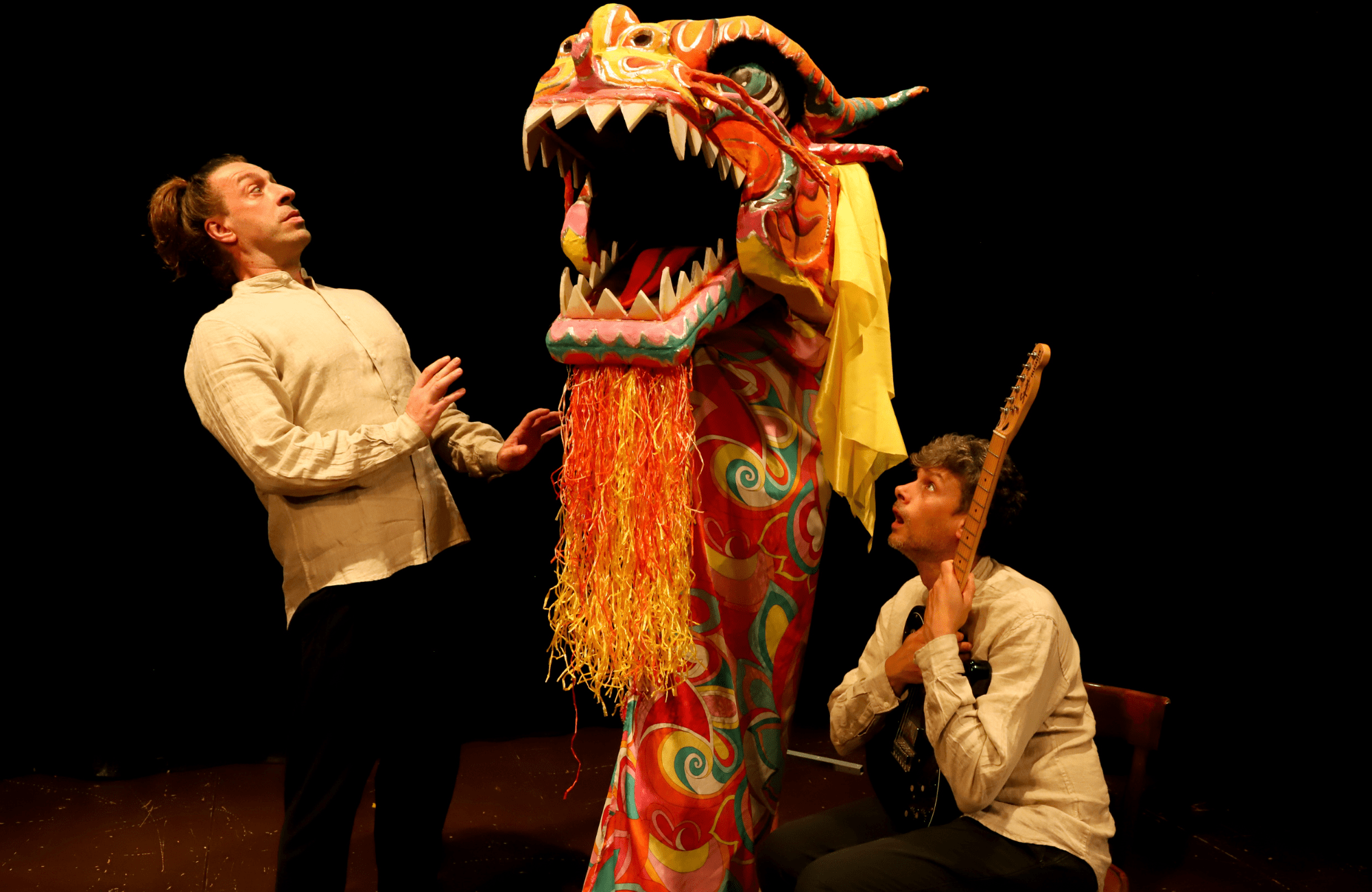 cover of Il seme magico