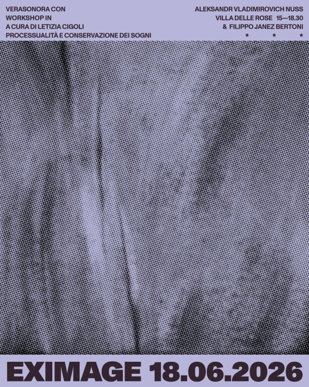 immagine di EX-IMAGE: Processualità e conservazione dei sogni