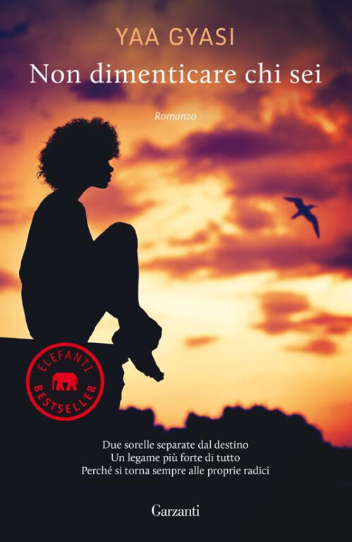 cover of Non dimenticare chi sei