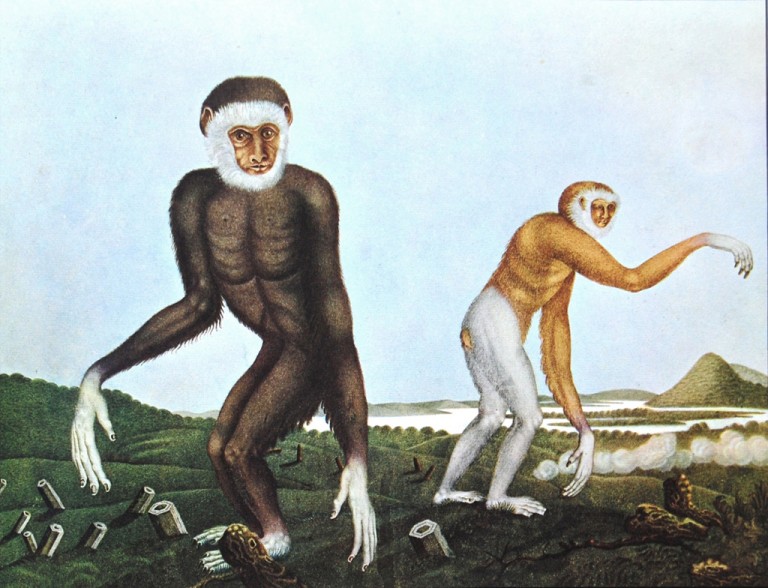 Foto-Baeher-Laabissi-Consul-Meshie.jpg