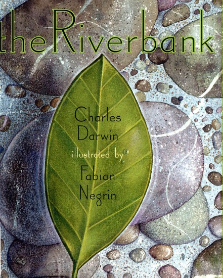 copertina di The Riverbank