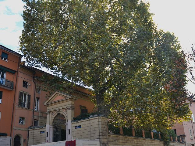 Il giardino della Cavallerizza