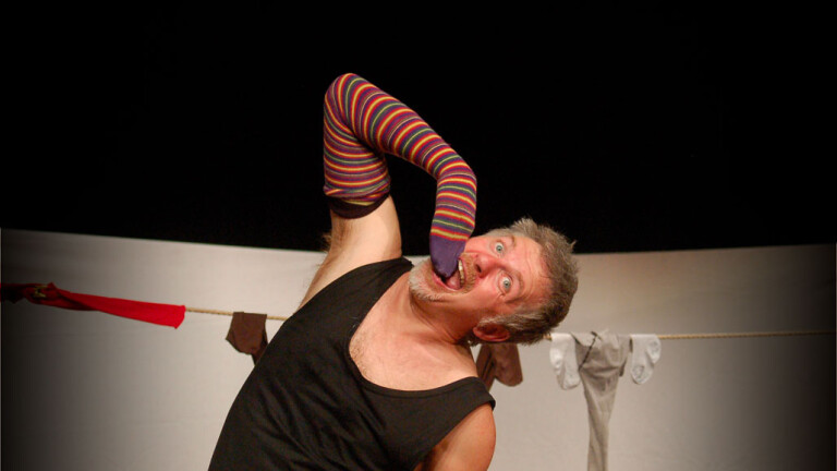 cover of L’ELEFANTINO