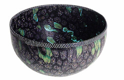 copertina di Un caleidoscopio di colori