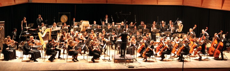 Viotta Symphony Orchestra.jpg