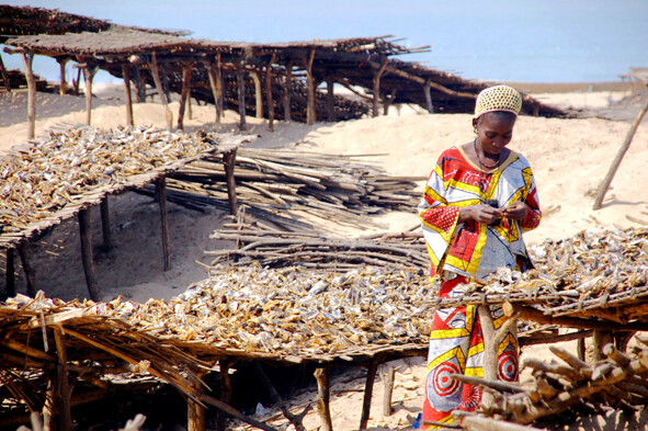 Essiccazione del pesce a Kafountine - Senegal - 2010